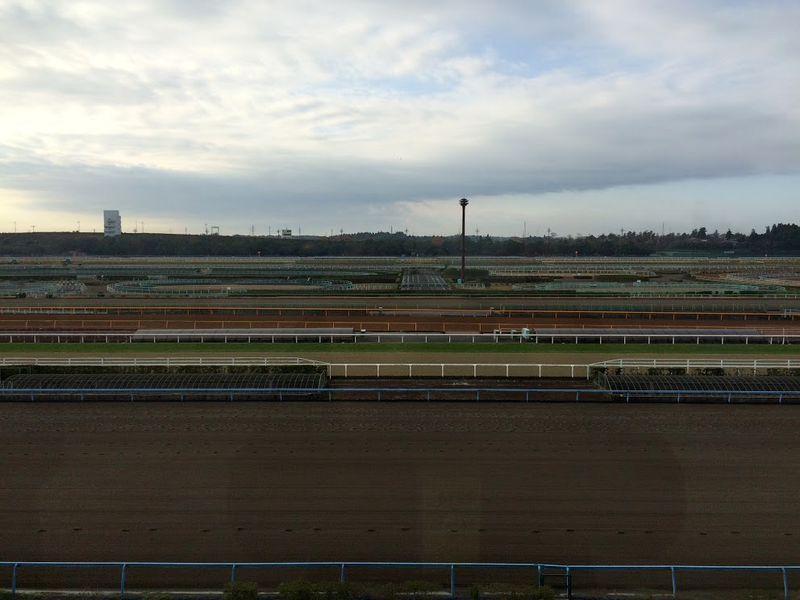Illustration for article titled How Japan Built The World's Best Horse Racing